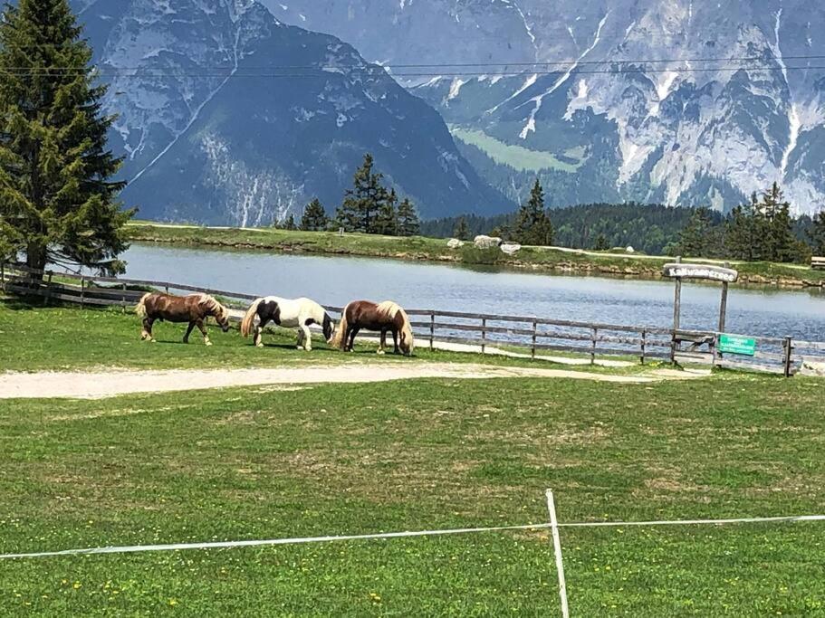 Sonniges Apartment In Seefeld Seefeld in Tirol Kültér fotó